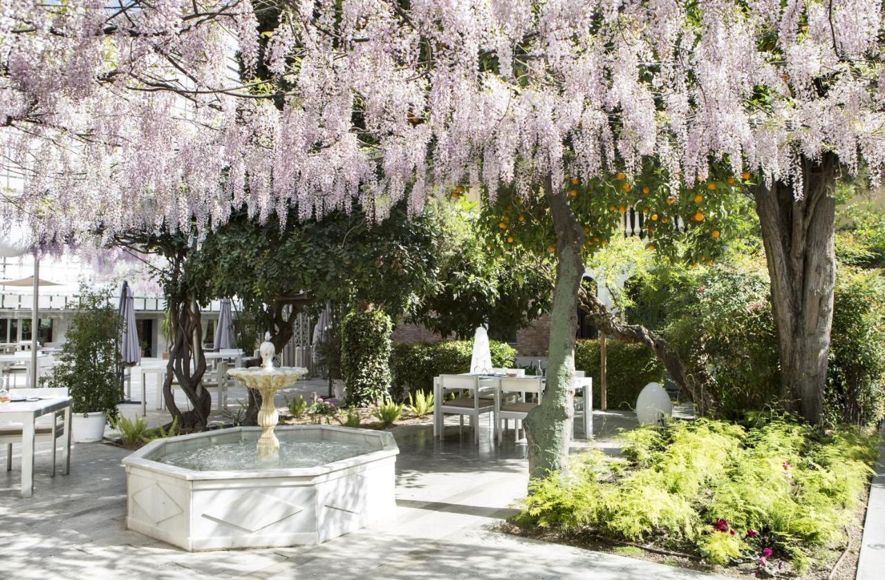 帕拉西奥德洛斯帕托斯酒店 格拉纳达 外观 照片 Wisteria trees in bloom at the San Francisco Botanical Garden